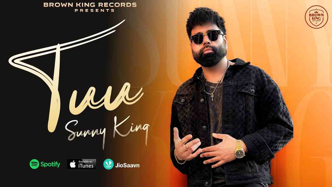 Tuu Lyrics English Translation - Sunny King